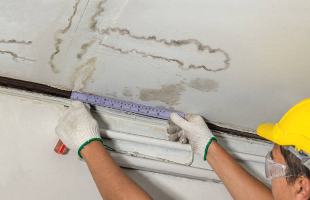 Reliable Water Damage contractor in Pinetown, NC by Water Damage Irwin